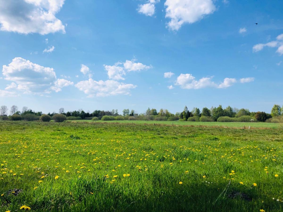 Domek Letniskowy Z Kortem Tenisowym Karwia Ostrowo Ostrowo  Bagian luar foto